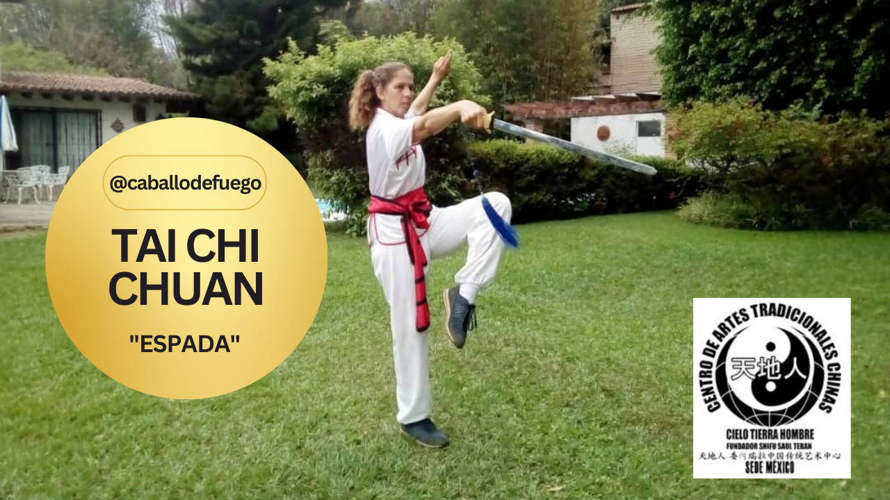 Tai Chi Chuan / Armas: 