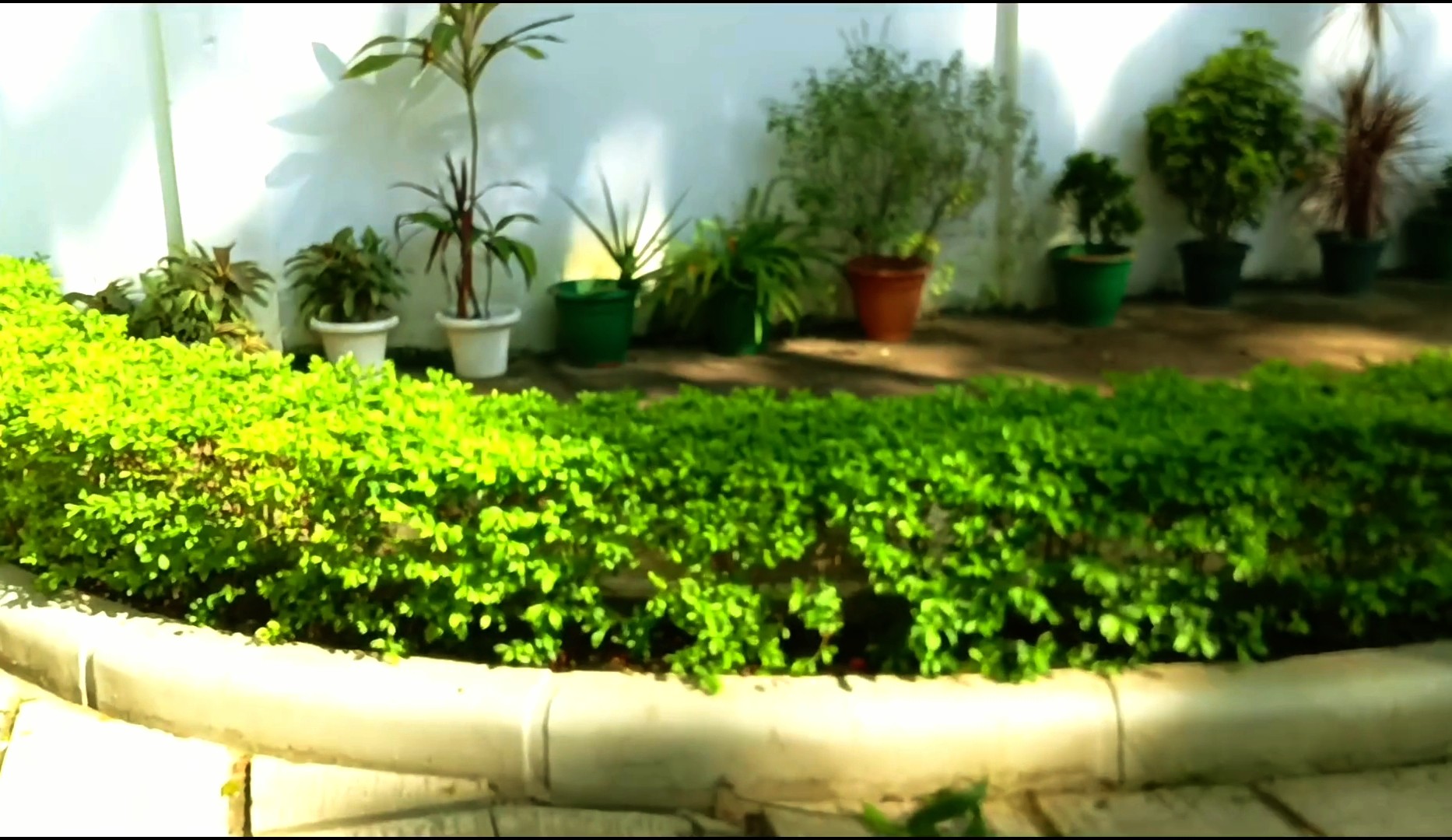 apusir 3Speak Podcast